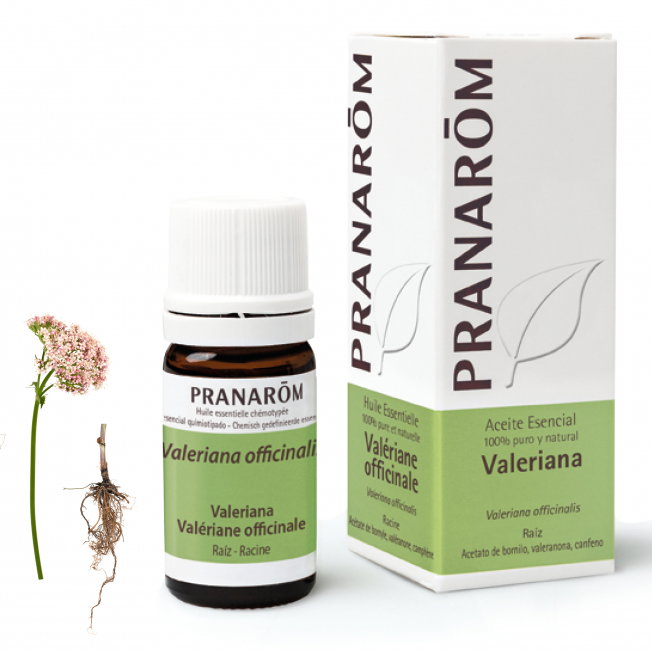 PRANAROM ACEITES Huile essentielle de Valeriana 5 ml PRANAROM ACEITES Huile essentielle de Valeriana 5 ml