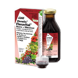 SALUS Floradix Floravital Fer 250 ml