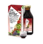 SALUS Floradix Floravital Fer et Vitamines 250 ml
