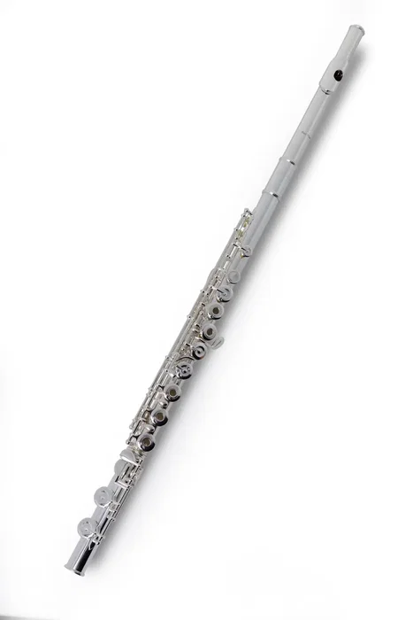 PEARLFLUTE Flûte Traversière Pearl Quantz Forza F665RE-HC (Corona pesada) PEARLFLUTE Flûte Traversière Pearl Quantz Forza F665RE-HC (Corona pesada)