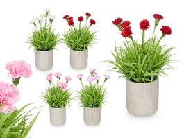 IBERGARDEN Maceta Cemento Cuadrados Claveles Surt 4