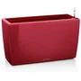 Lechuza Jardinière Cararo Premium Kit Complet Rouge Scarlet Brillant 75 x 30 x 42,5 cm