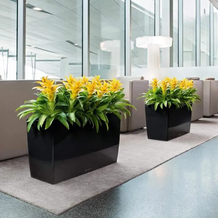 Lechuza Jardinière Cararo Premium Kit Complet Rouge Scarlet Brillant 75 x 30 x 42,5 cm