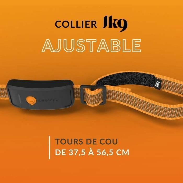 Weenect Collier GPS Chien XT Orange