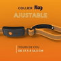 Weenect Collier GPS Chien XT Orange