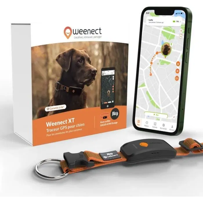 Weenect - Collier GPS pour chien XT avec collier Julius-K9 (Orange, Antenne XL) - Etanche, suivi temps réel, batterie longue durée - Fonctionne avec abonnement Weenect - Collier GPS pour chien XT avec collier Julius-K9 (Orange, Antenne XL) - Etanche, suivi temps réel, batterie longue durée - Fonctionne avec abonnement