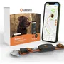 Weenect - Collier GPS pour chien XT avec collier Julius-K9 (Orange, Antenne XL) - Etanche, suivi temps réel, batterie longue durée - Fonctionne avec abonnement