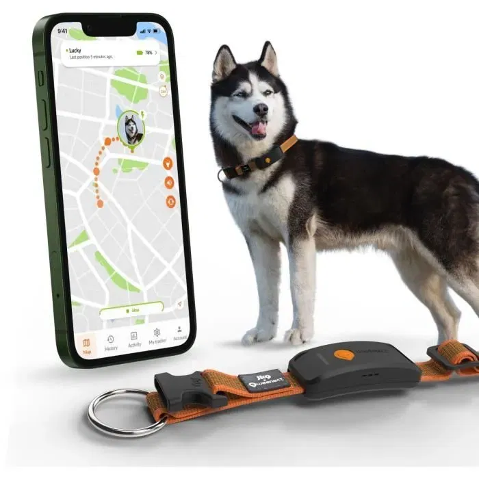 Weenect - Collier GPS pour chien XT avec collier Julius-K9 (Orange, Antenne XL) - Etanche, suivi temps réel, batterie longue durée - Fonctionne avec abonnement Weenect - Collier GPS pour chien XT avec collier Julius-K9 (Orange, Antenne XL) - Etanche, suivi temps réel, batterie longue durée - Fonctionne avec abonnement