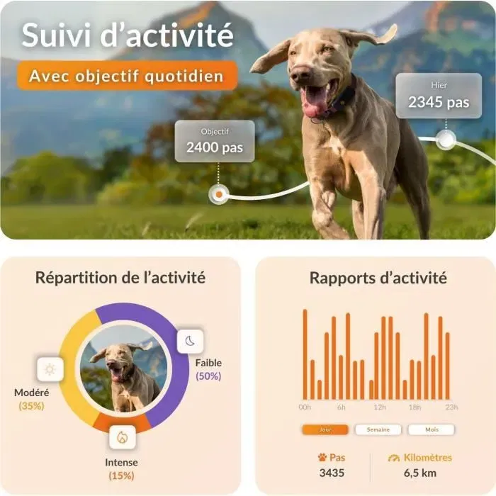 Weenect - Collier GPS pour chien XT avec collier Julius-K9 (Orange, Antenne XL) - Etanche, suivi temps réel, batterie longue durée - Fonctionne avec abonnement Weenect - Collier GPS pour chien XT avec collier Julius-K9 (Orange, Antenne XL) - Etanche, suivi temps réel, batterie longue durée - Fonctionne avec abonnement
