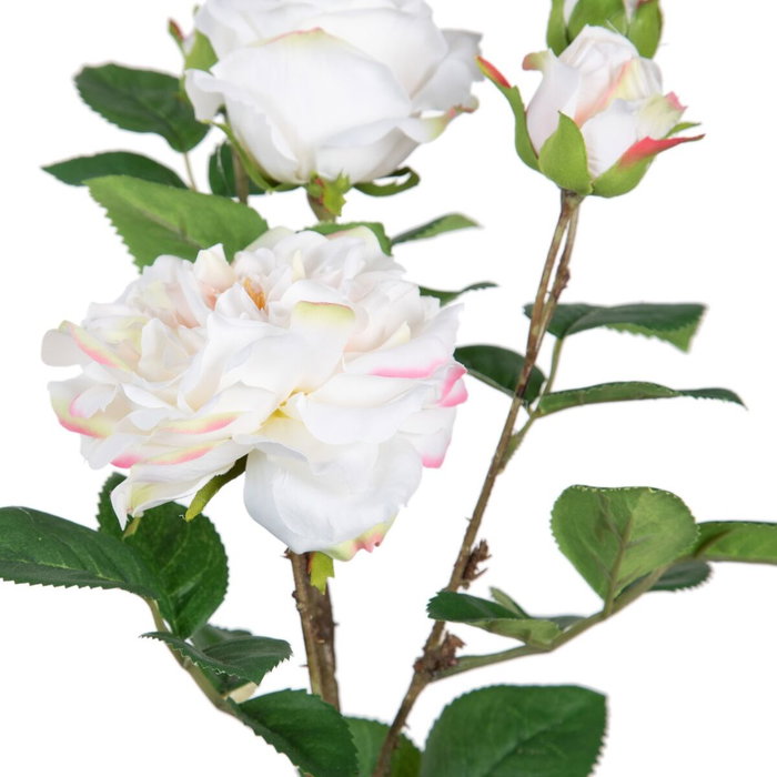 BigBuy Home Plante décorative Rose 27 x 27 x 38 cm