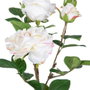 BigBuy Home Plante décorative Rose 27 x 27 x 38 cm