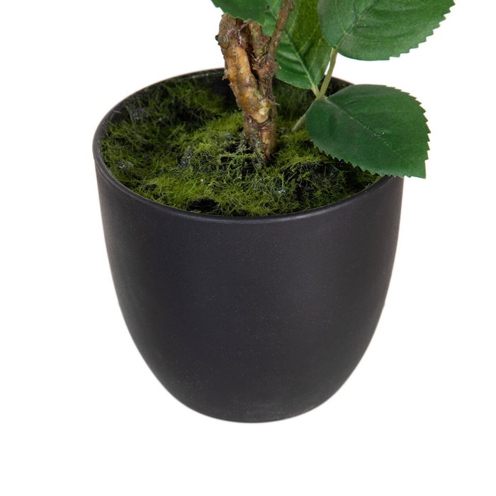 BigBuy Home Plante décorative Rose 27 x 27 x 38 cm