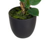 BigBuy Home Plante décorative Rose 27 x 27 x 38 cm