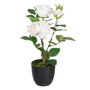 BigBuy Home Plante décorative Rose 27 x 27 x 38 cm