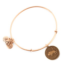Alex And Ani Pulsera Taureau Dorée