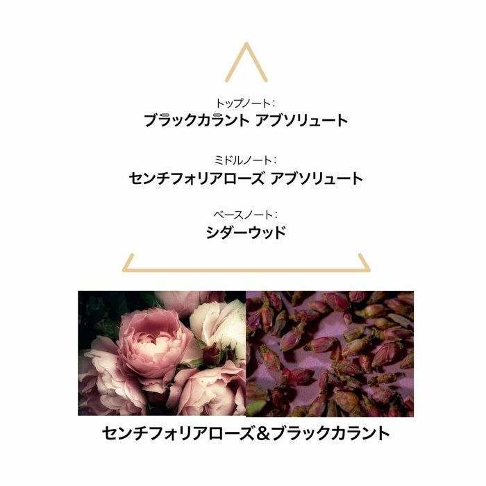 Parfum Femme Le Couvent des Minimes Saiga EDP 100 ml