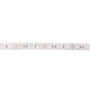 Bande LED RGB SMD 5050 IP68 Submergeable 12VDC 5m