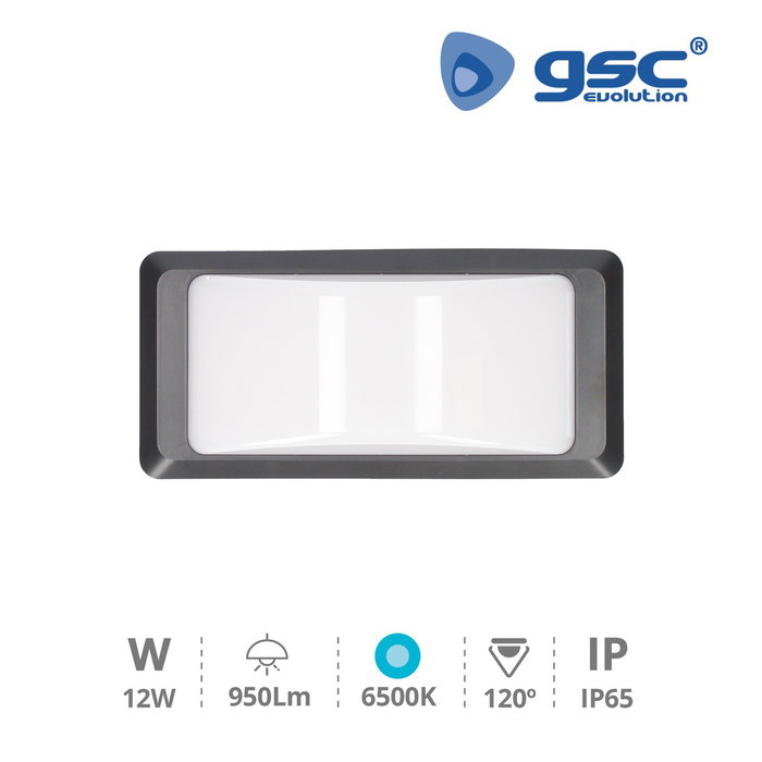 GSC Evolution Anthe Aplique murale LED 11W Gris anthracite IP65