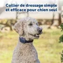 Petsafe Système d'aide à l'éducation pour chien - Portée 90 m - Dressage progressif et fiable
