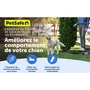 Petsafe Système d'aide à l'éducation pour chien - Portée 90 m - Dressage progressif et fiable