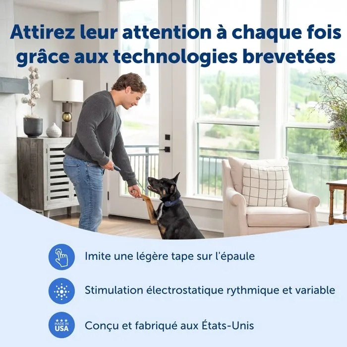 Petsafe Système d'aide à l'éducation pour chien - Portée 90 m - Dressage progressif et fiable