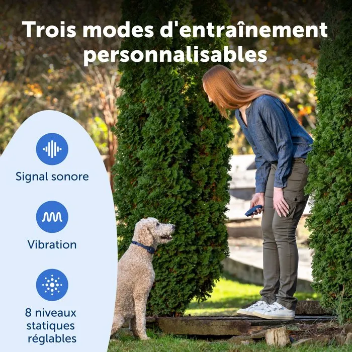 Petsafe Système d'aide à l'éducation pour chien - Portée 90 m - Dressage progressif et fiable