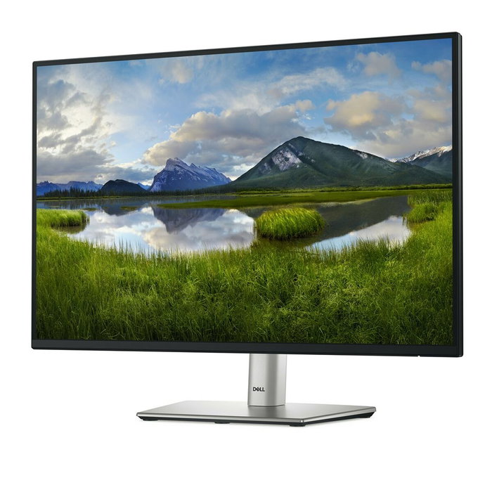Dell P2425 Moniteur 24 pouces WUXGA 100Hz Noir Dell P2425 Moniteur 24 pouces WUXGA 100Hz Noir