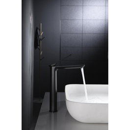 IMEX Mitigeur Lavabo Haut Danemark Noir Mat