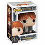 Jouet Peluche Harry Potter 5859