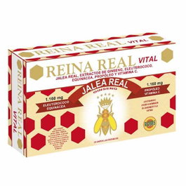 ROBIS Reina Real Vital 30 ampoules