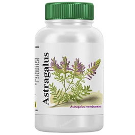 VBYOTICS Astragalus extrait de racine 120 capsules