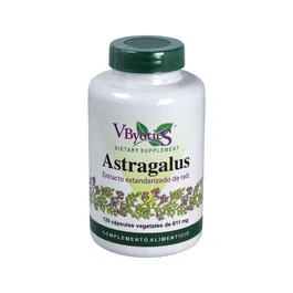 VBYOTICS Astragalus Extrait de Racine 120 Capsules Végétales