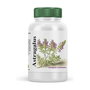 VBYOTICS Astragalus extrait de racine 120 capsules