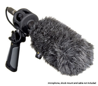 RØDE WS6