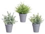 IBERGARDEN Maceta Planta Verde Surt 3 (Lot de 24)
