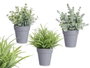 IBERGARDEN Maceta Planta Verde Surt 3 (Lot de 24)