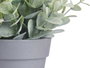 IBERGARDEN Maceta Planta Verde Surt 3 (Lot de 24)