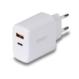Lindy Chargeur Secteur Double Port USB Type-C PD 30W et USB Type-A 18W avec Charge Rapide pour Smartphones, Tablettes et Ordinateurs Portables