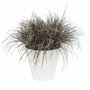 ELHO Pot de fleurs rond Loft Urban Blanc 48 L Ø 50 x H.44 cm