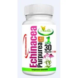 EL VALLE Echinacea 30 gélules - Complément alimentaire extrait d'échinacée pour les défenses