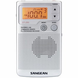 Sangean DT250S Radio portable numérique argentée