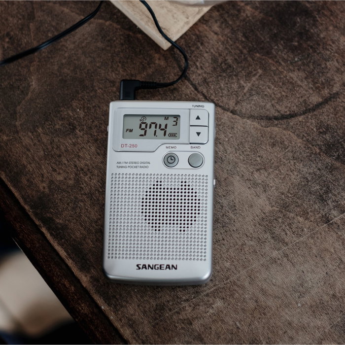 Sangean DT250S Radio portable numérique argentée