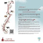 Deqube Jeu de l'Oca Thématique San Fermin avec 4 Figurines de Taureau Collecta, Instructions Multilingues et Dés en Bois - Pour 3 Ans et Plus
