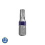 Wolfpack Linea Profesional Jeu d'embouts Torx T-27 en acier S2 (2 pièces)