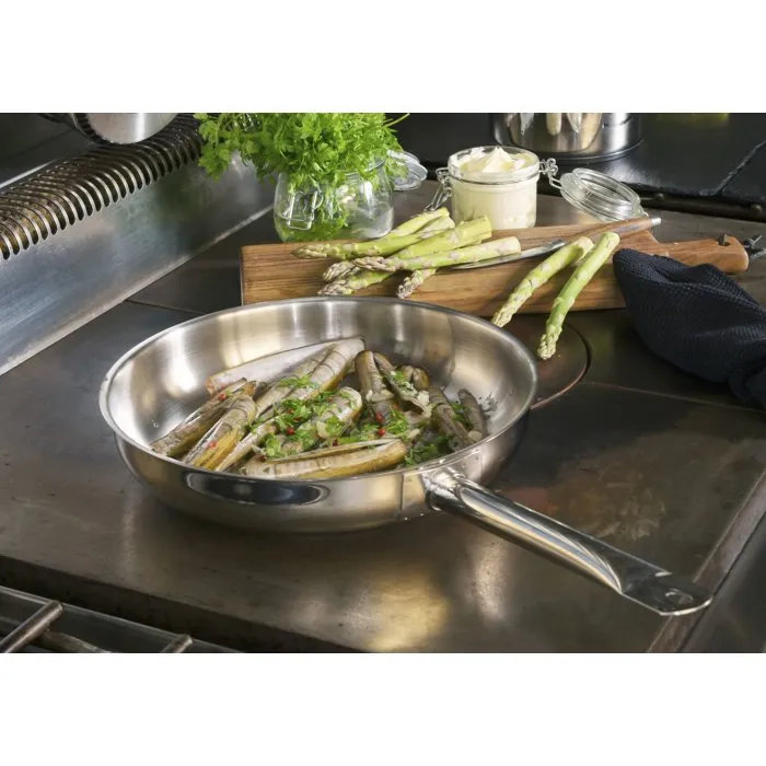 Baumalu Ligne Professionnelle 20 Poêle en Inox 20 cm