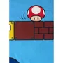 Mario Bros Couverture Polaire Sherpa Vintage Super Mario 100 x 150 cm, Plaid avec Face Imitation Laine pour Canapé, Lit, Décoratif