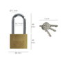 WOLFPACK LINEA PROFESIONAL Cadenas en laiton anse longue clés identiques 50 mm nº1