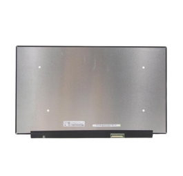 CoreParts Écran LCD 15,6'' FHD Mat 144Hz MSC156F40-222M