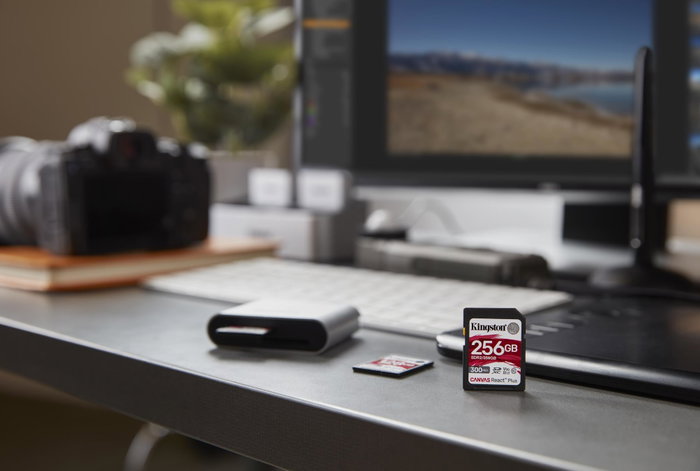 Kingston Canvas React Plus 256 Go V90 SDR2/256GB Noir