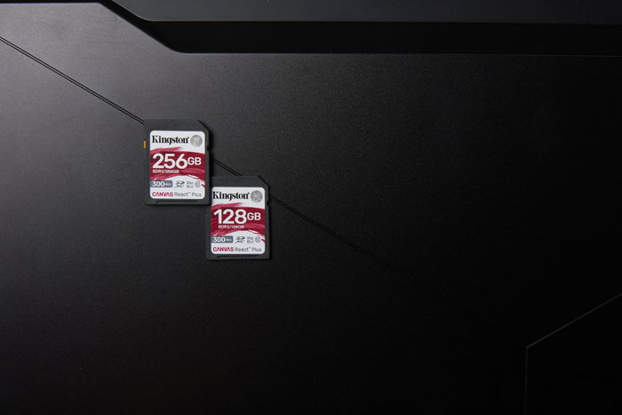 Kingston Canvas React Plus 256 Go V90 SDR2/256GB Noir
